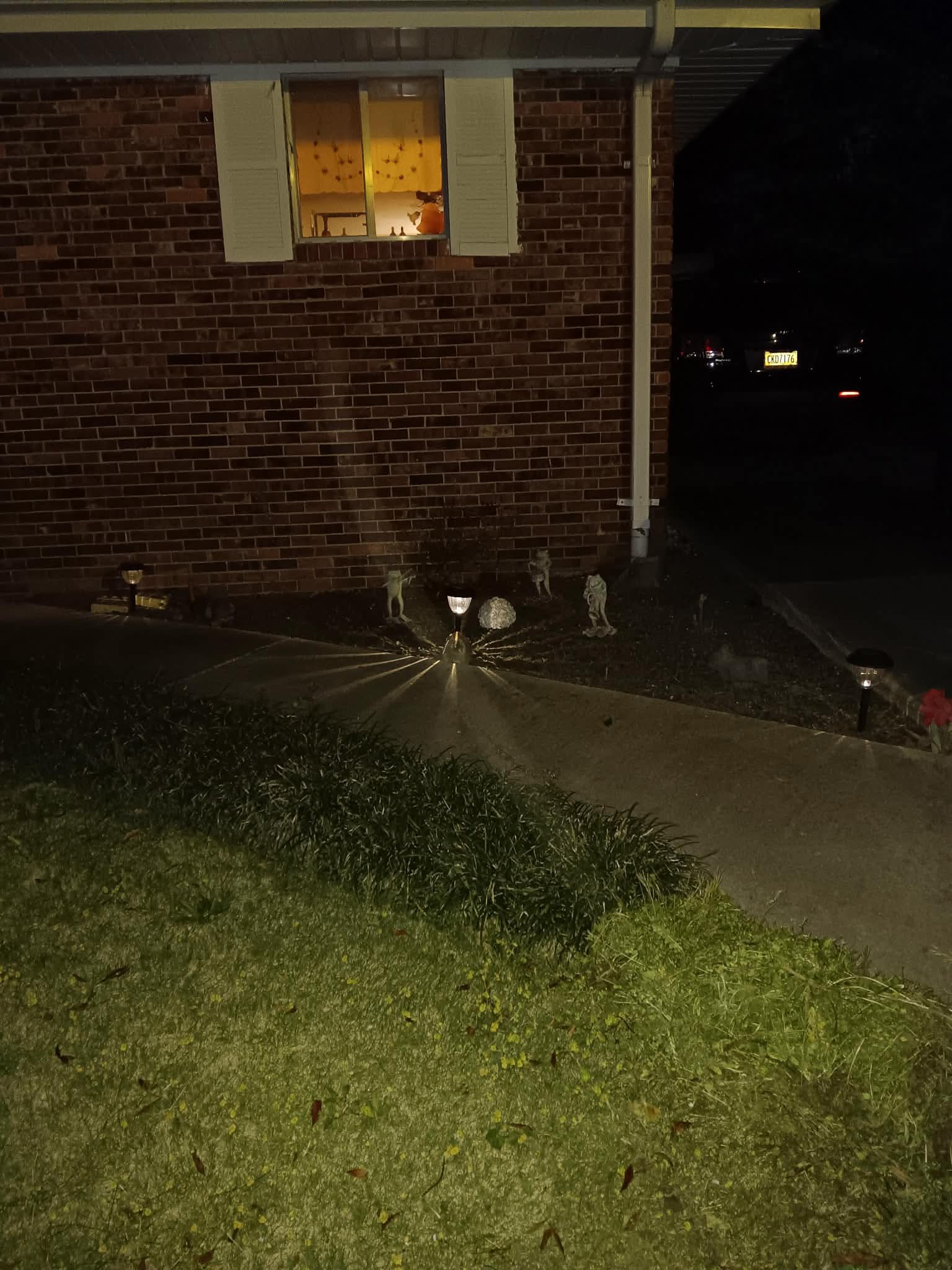 Front yard garden with solar lights at night