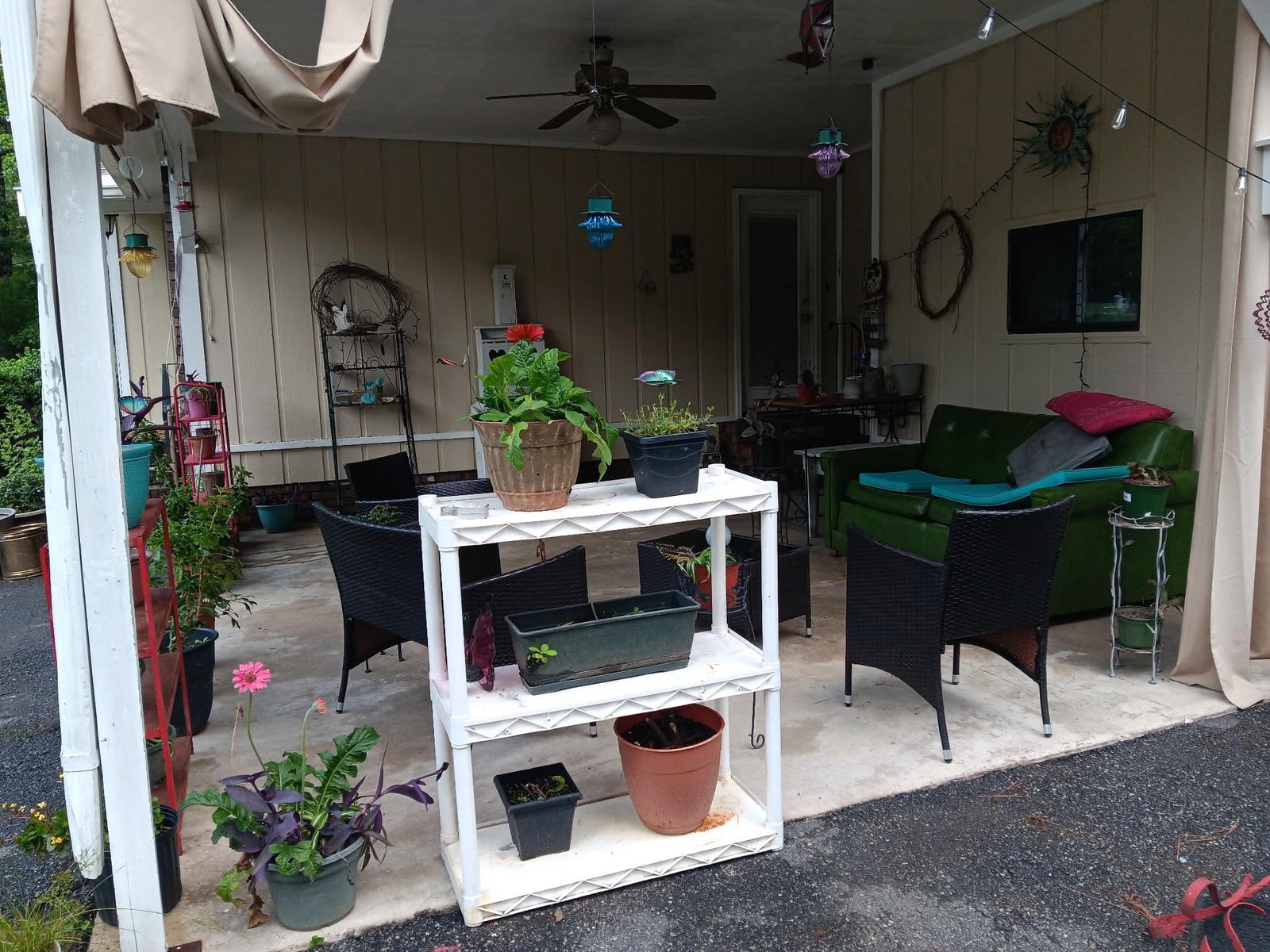 Patio with plants and seating