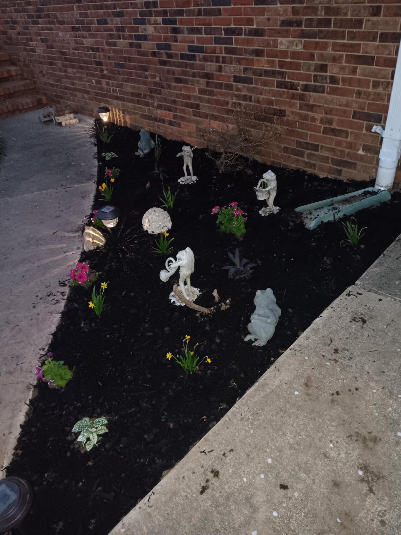 Fresh garden bed with flowers