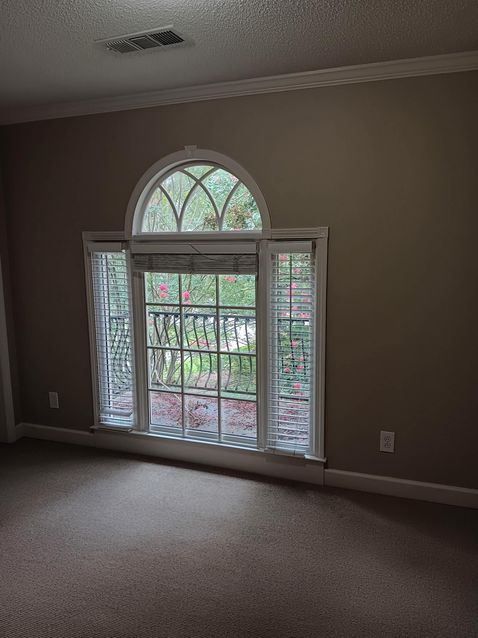 Room with arched window